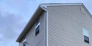 Best Siding Painting and Refinishing  in Decordova, TX